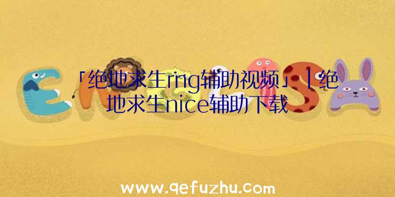 「绝地求生rng辅助视频」|绝地求生nice辅助下载